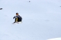 , Winter X-Games Mens Board Slopestyle 2011 - Courchevel Enquirer